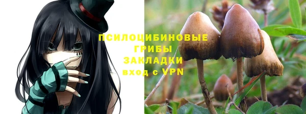 mix Белокуриха