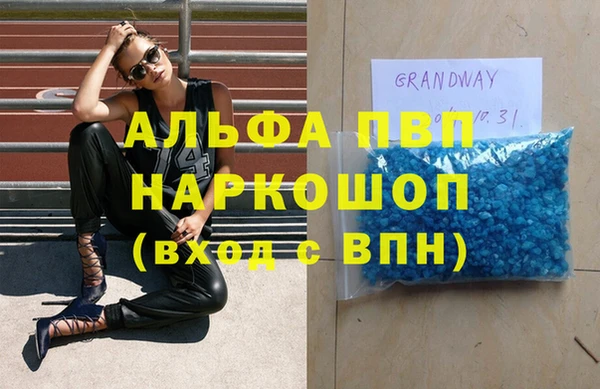 сатива Каменка
