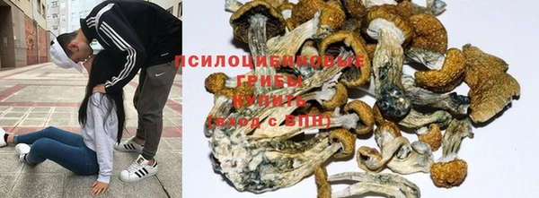 дмт Баксан