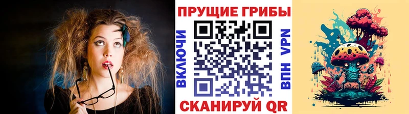 как найти Ногинск Псилоцибиновые грибы прущие грибы